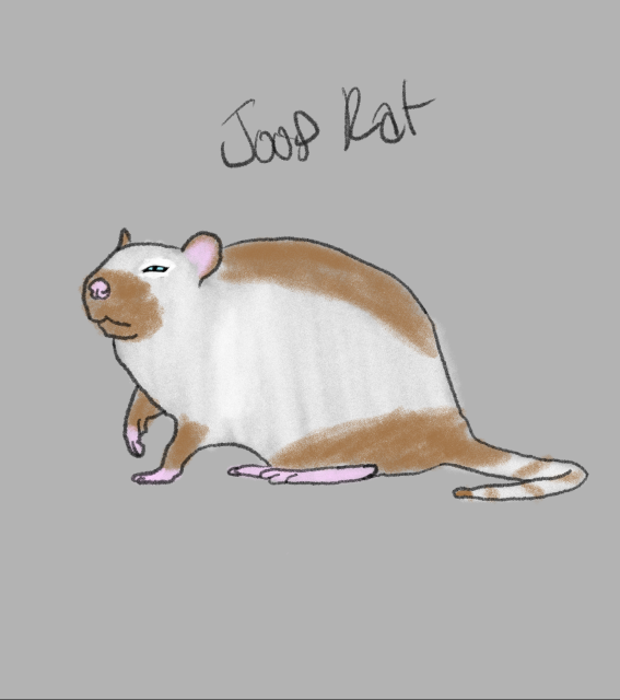 https://www.takoberri.art//_main/images/low-res/art/Joop Rat